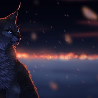cats1_0918