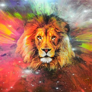 cats1_1194