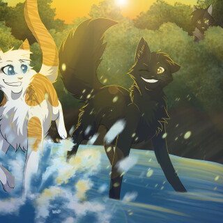 cats2_0224