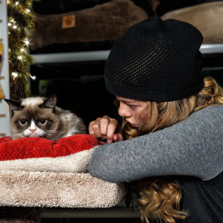cats2_0255