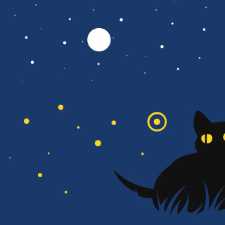 cats2_0513