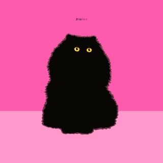 cats2_0846