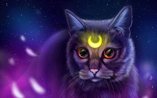 cats2_0853.jpg