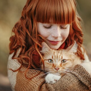 cats2_1116