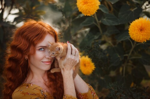 cats2_1344.jpg
