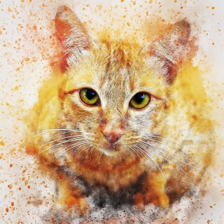 cats2_1538