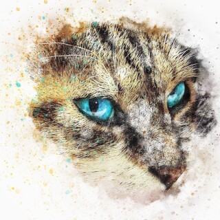 cats2_1601