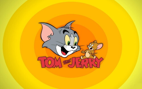cats2_1643.jpg