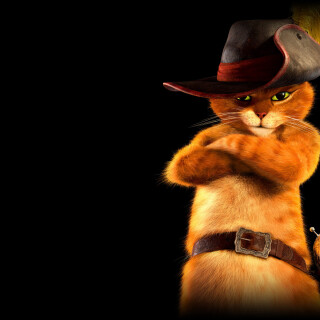 cats2_1657