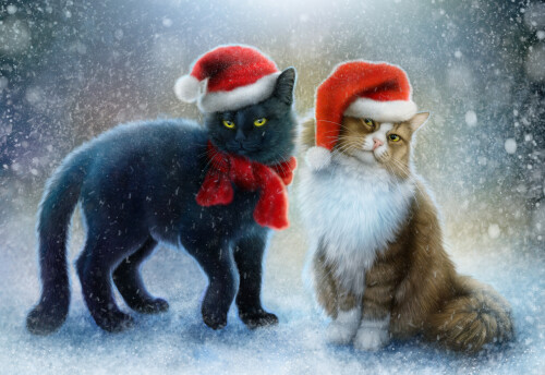 cats2_1664.jpg