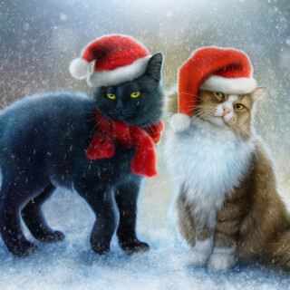 cats2_1664