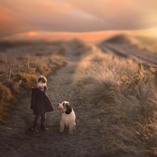 dogs1_0169