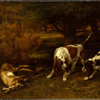 dogs1_0322