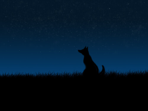 dogs1_0576.jpg