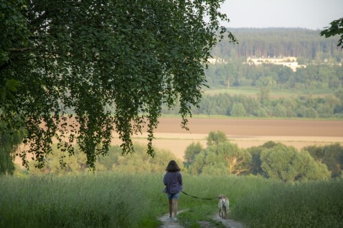 dogs1_0643.jpg