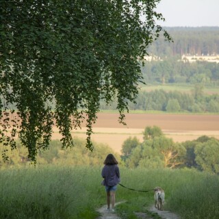 dogs1_0643