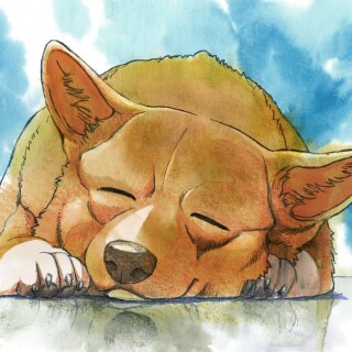 dogs1_0865