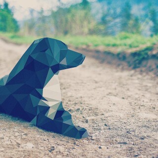 dogs2_0087
