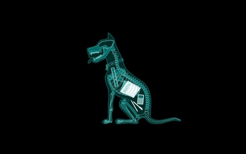 dogs2_0169.jpg