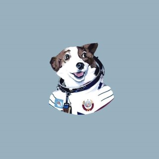 dogs2_0209