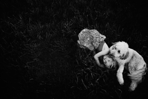 dogs2_0517.jpg