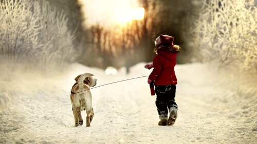 dogs2_0521.jpg