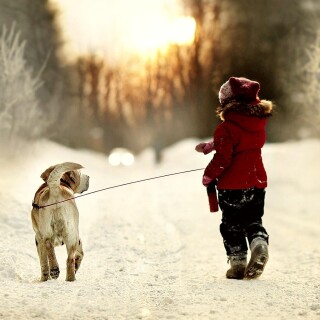 dogs2_0521