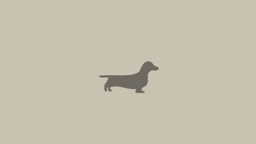 dogs2_0618.jpg