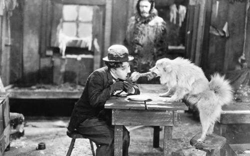 dogs2_0642.jpg