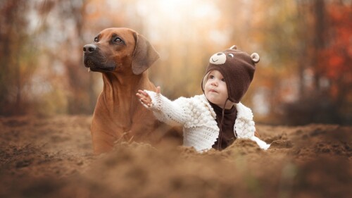 dogs2_0651.jpg