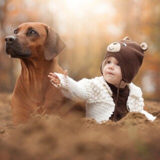 dogs2_0651