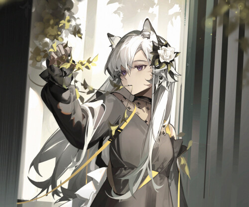 Arknights 0369