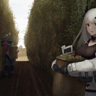 Arknights_0467