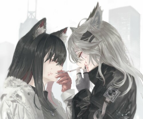 Arknights 0952