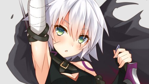 Fate Grand Order 0241