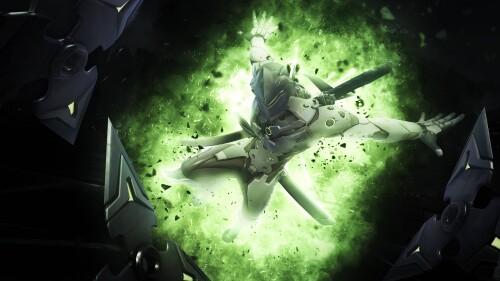 Overwatch 0895