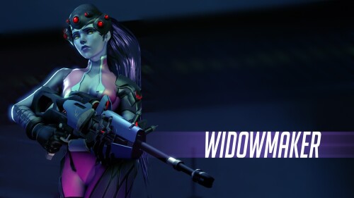 Overwatch 1132