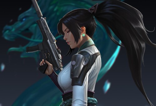Overwatch 1320