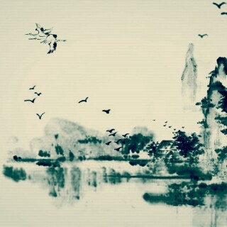 birds1_0110