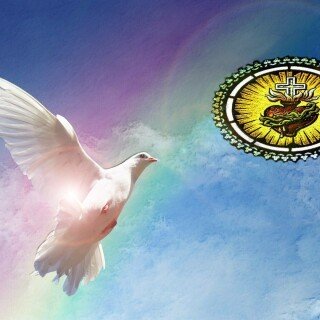 birds1_0366