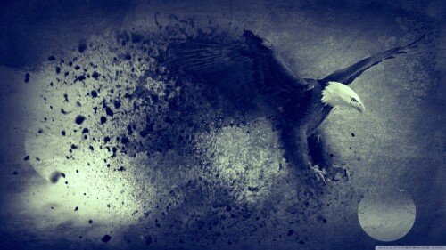 birds1 0407