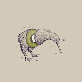 birds1_0431