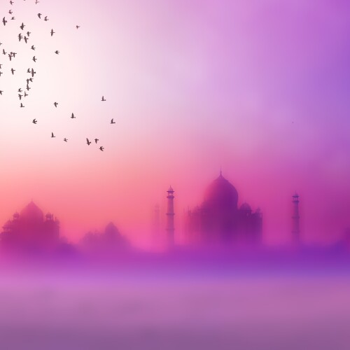 birds1 0450