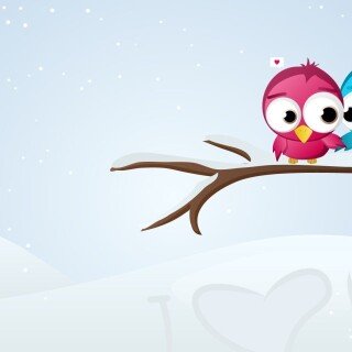 birds1_0658