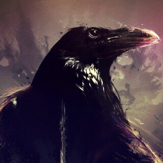 birds1_0705