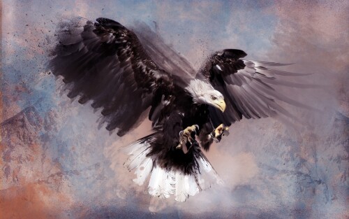 birds1 0843