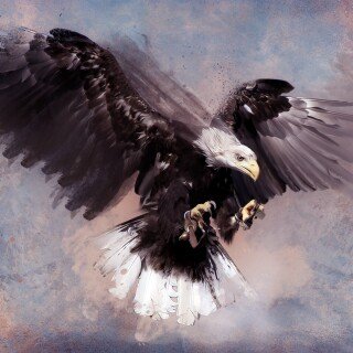 birds1_0843