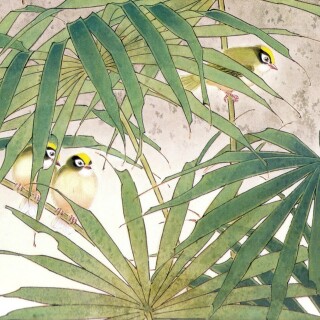 birds1_0936