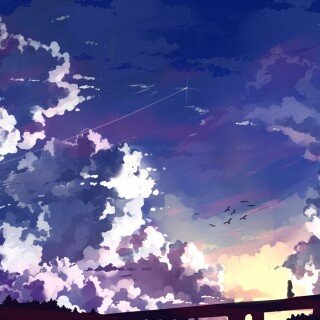 birds1_0990