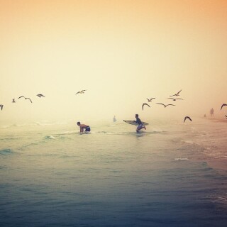 birds1_1052